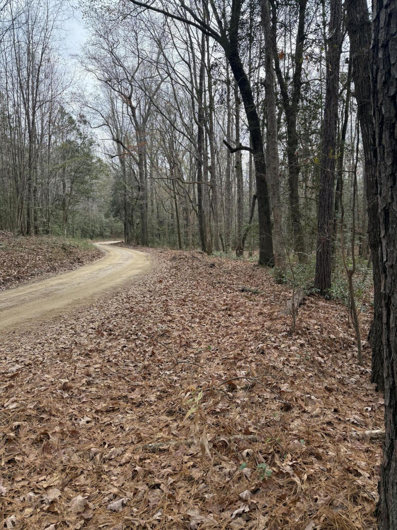 675 Vaughns Mill Pond Road Photo 3