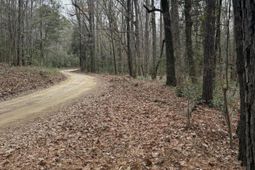 675 Vaughns Mill Pond Road photo 4