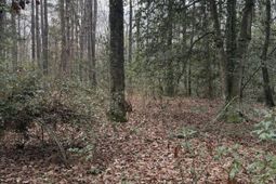 675 Vaughns Mill Pond Road photo 4