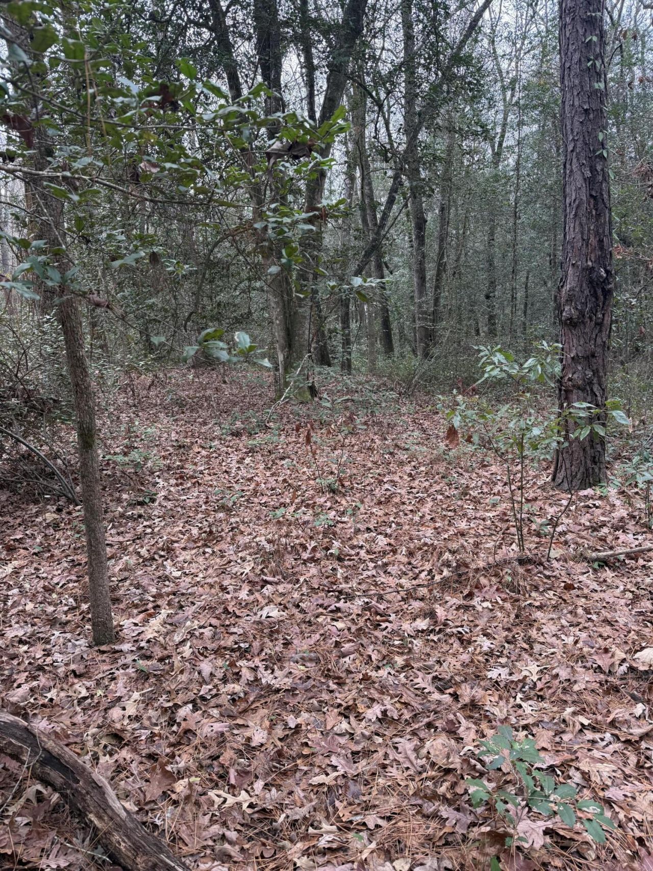 675 Vaughns Mill Pond Road Photo 5