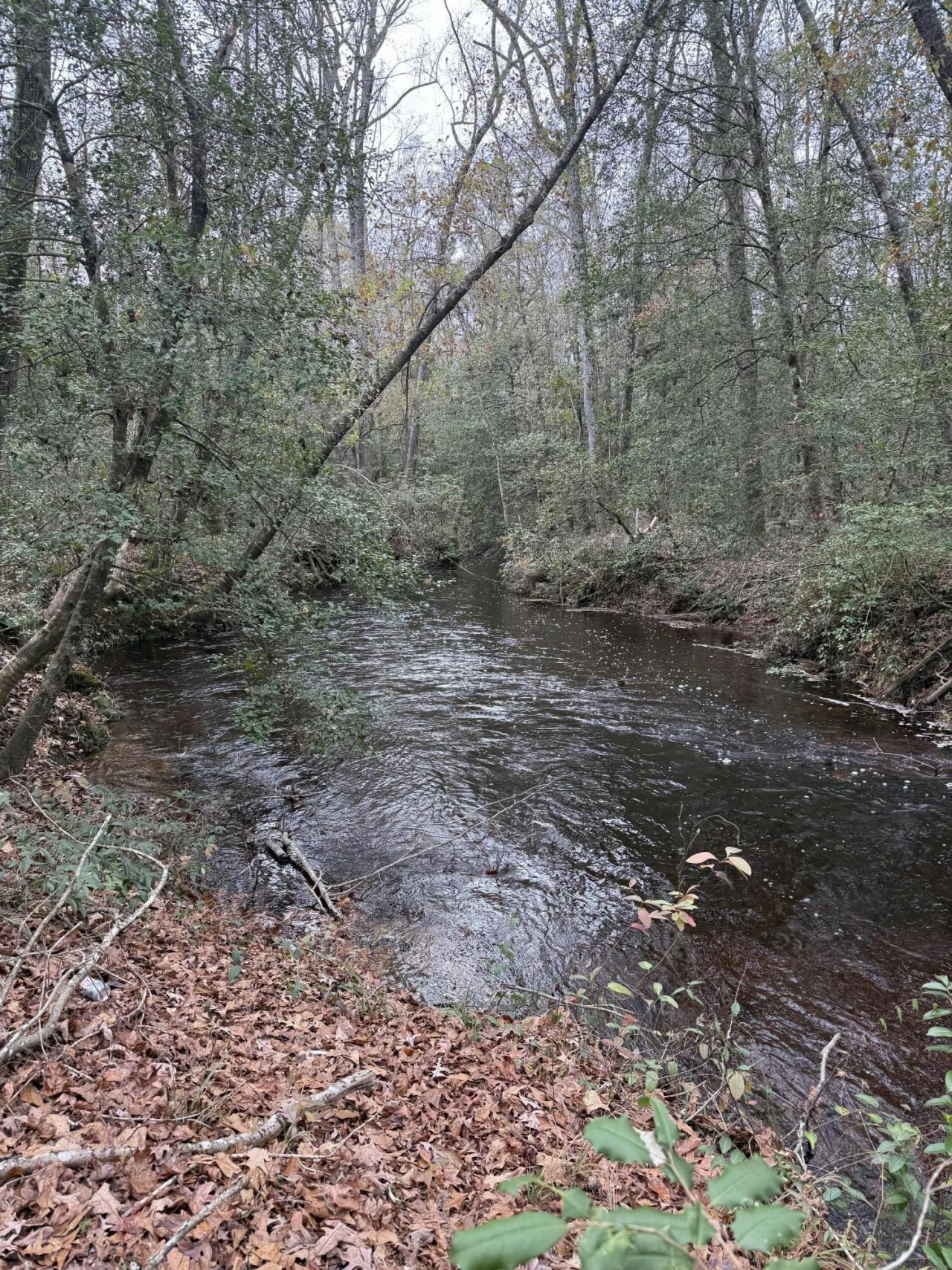 675 Vaughns Mill Pond Road Photo 9