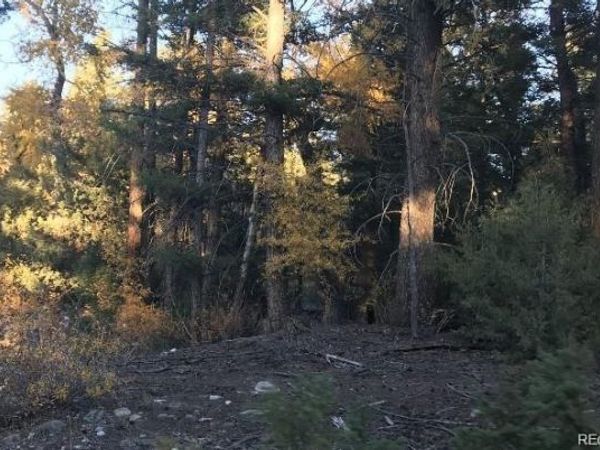 109 109 Deer Run Run , Mosca, CO 81146