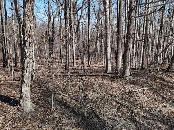 0 Willow Rd, Saline, MI 48176