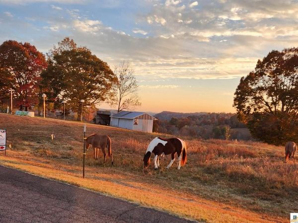 00 Casey Creek Road , Columbia, KY 42728