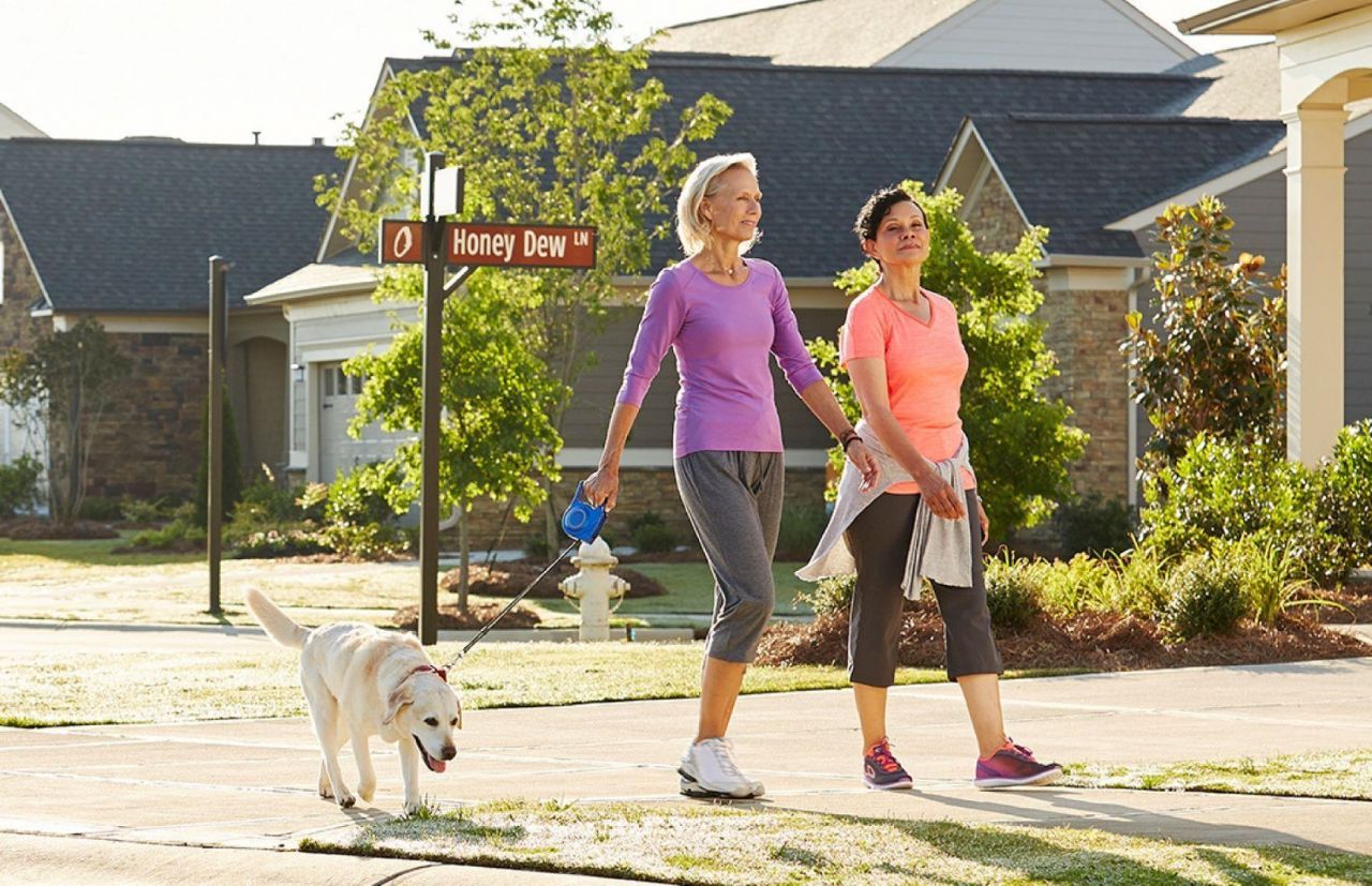 1177 Lady Bird Way Photo 15