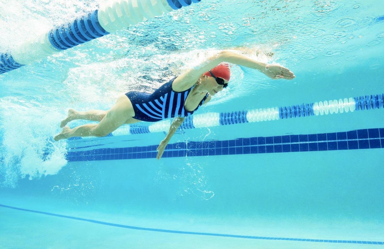 1177 Lady Bird Way Photo 19