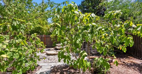 11 Loganberry Ct, Sacramento, CA 95835 Photo