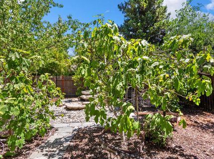 11 Loganberry Ct, Sacramento, CA 95835 Photo