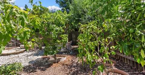 11 Loganberry Ct, Sacramento, CA 95835 Photo