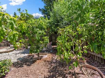 11 Loganberry Ct, Sacramento, CA 95835 Photo