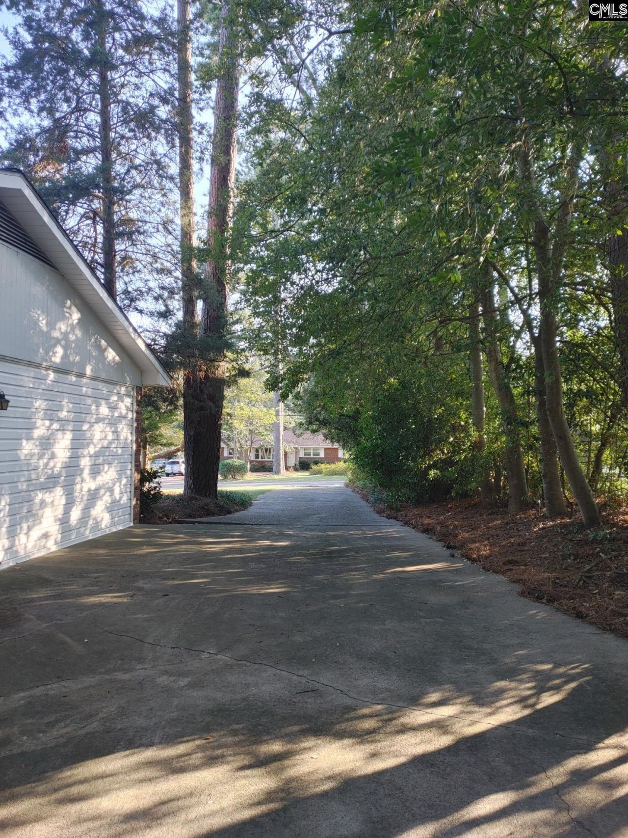 210 Pineland Drive Photo 11