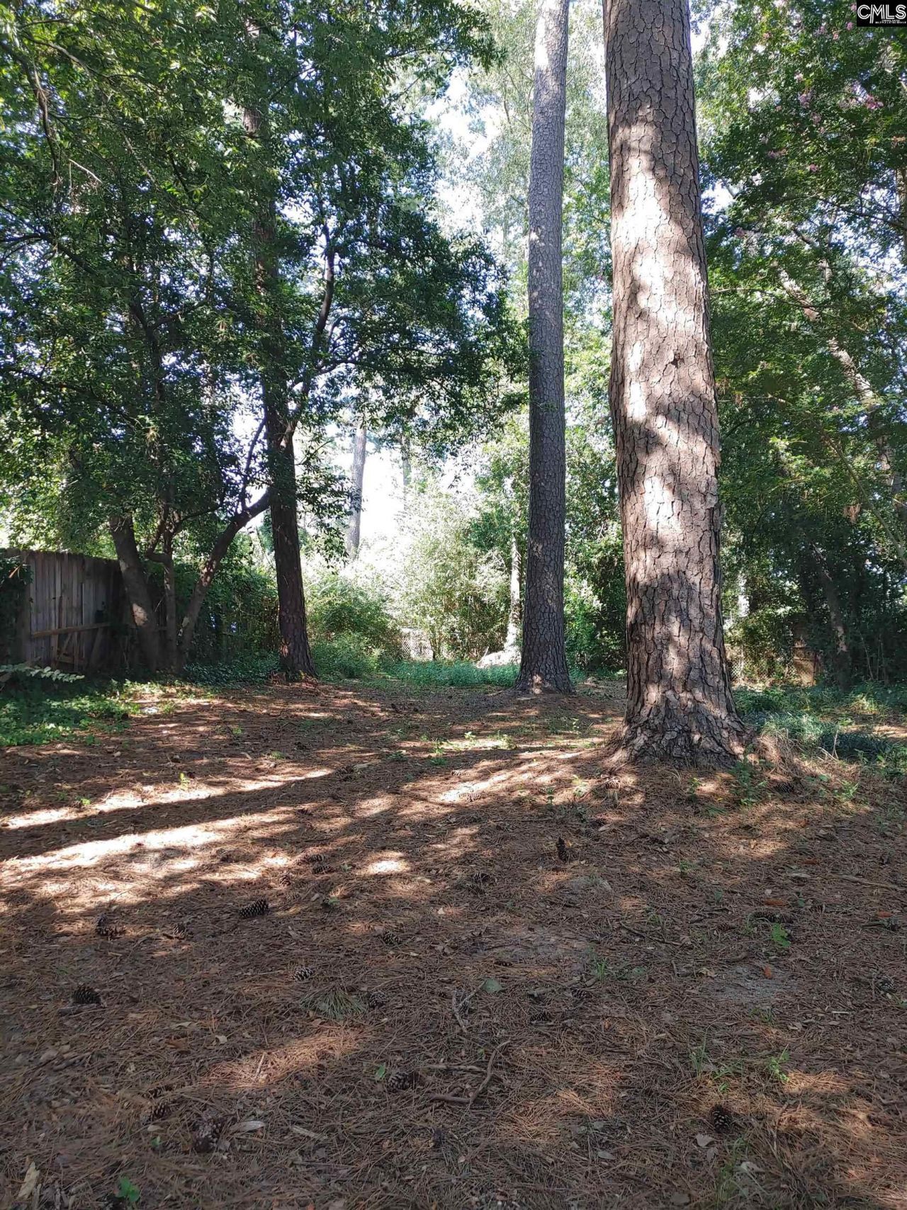 210 Pineland Drive Photo 16