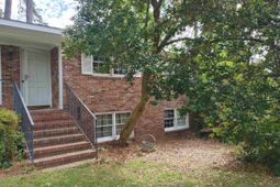 210 Pineland Drive photo 4