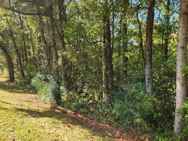 0 Bullsboro Drive, Newnan, GA 30265