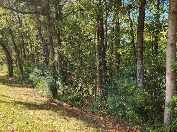 0 Bullsboro Drive, Newnan, GA 30265