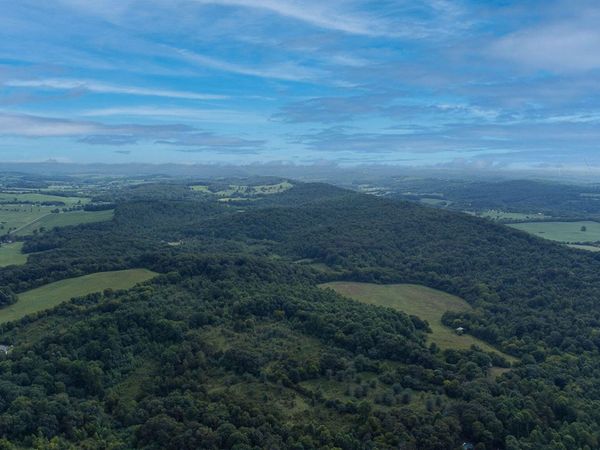 0 Bradshaw Hollow Rd, Loudon, TN 37774