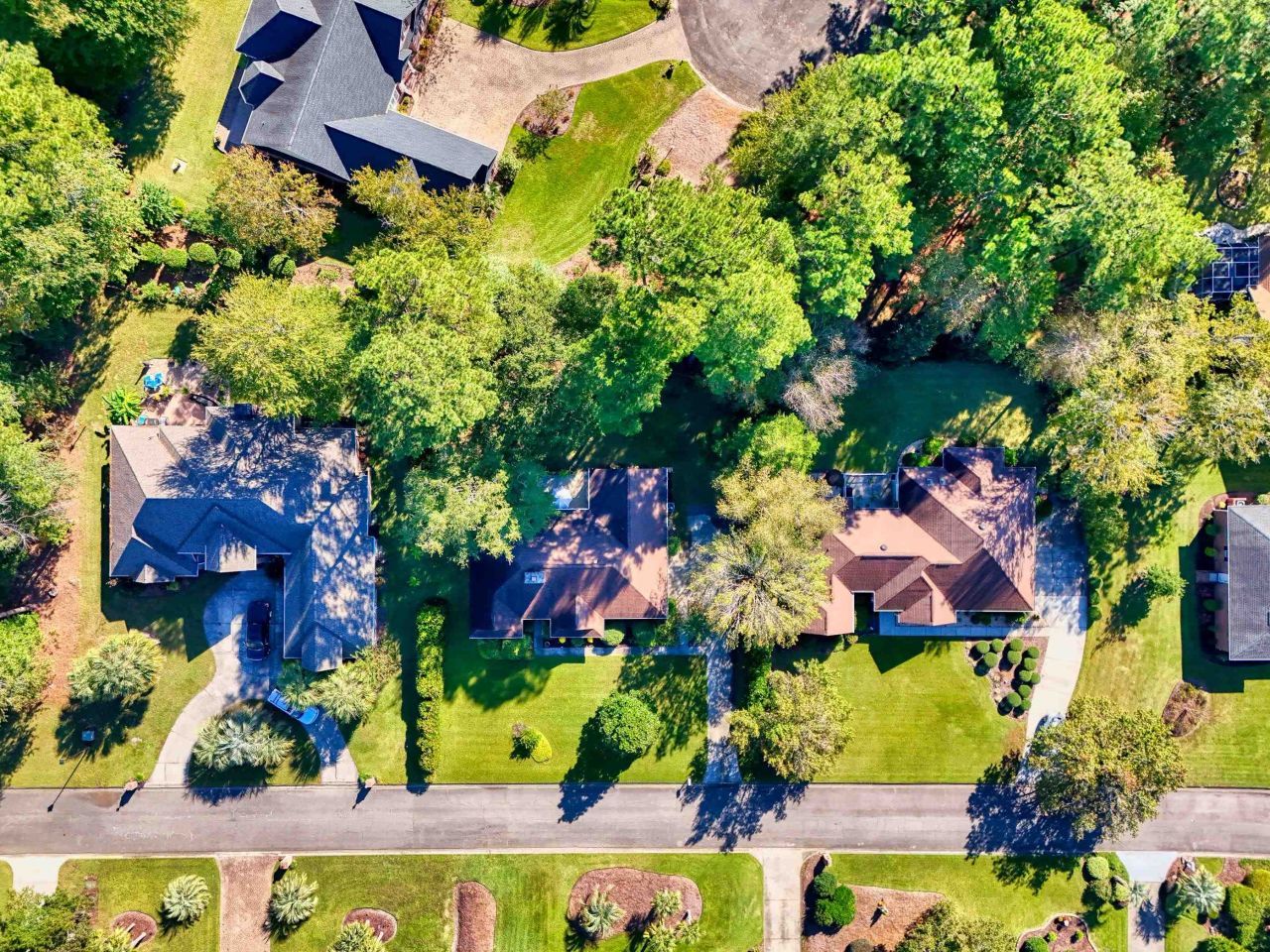 1041 Bear Lake Dr. Photo 35