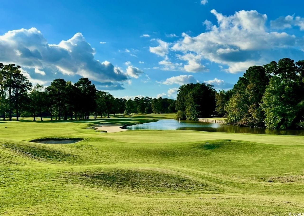 1041 Bear Lake Dr. Photo 40