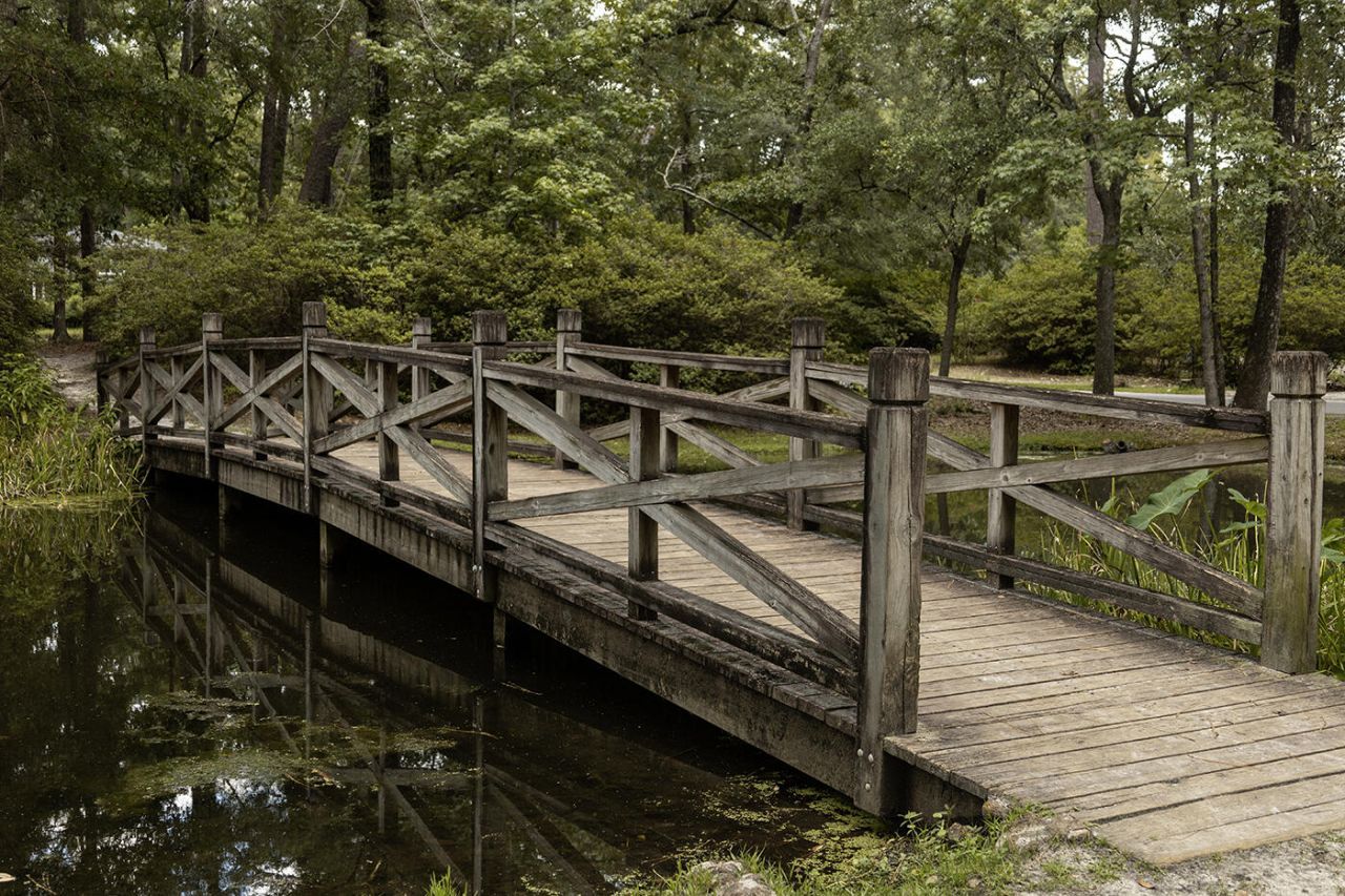 207 W Carolina Avenue Photo 42