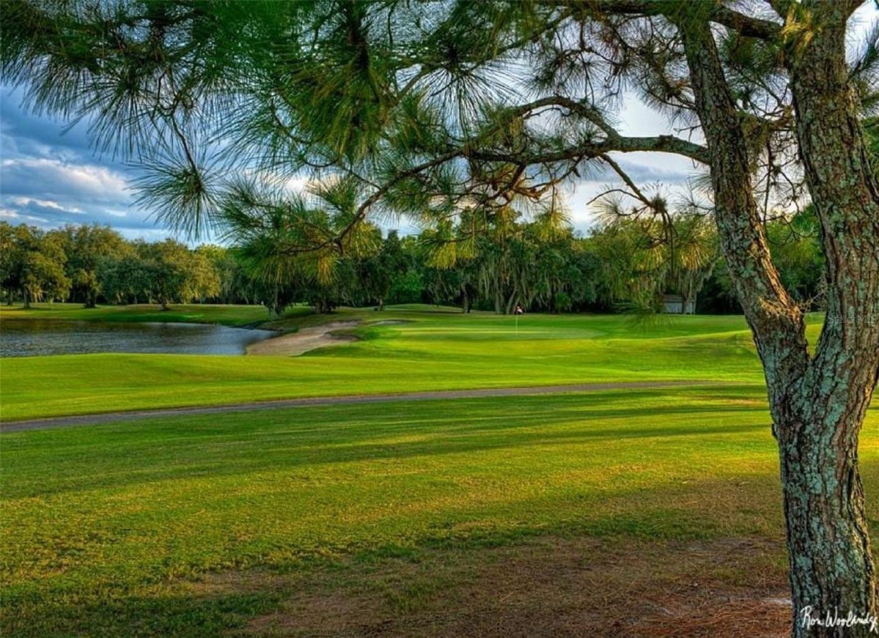 2962 Wilderness Boulevard E, Parrish, FL 34219 Photo