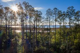 2296 Minifarm Way photo 4