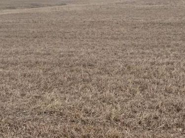 000 243rd Street, McLouth, KS 66054