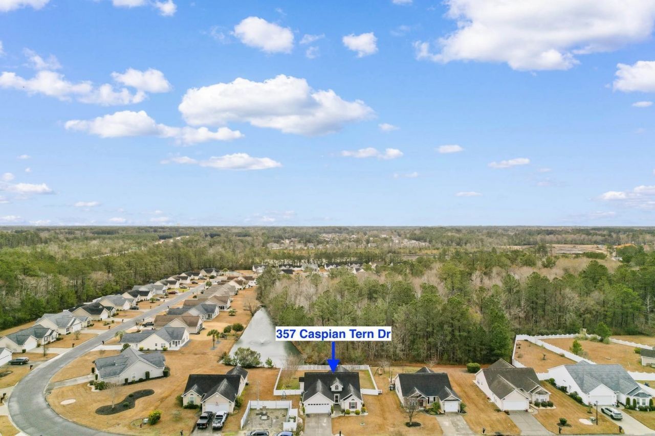 357 Caspian Tern Dr. Photo 31