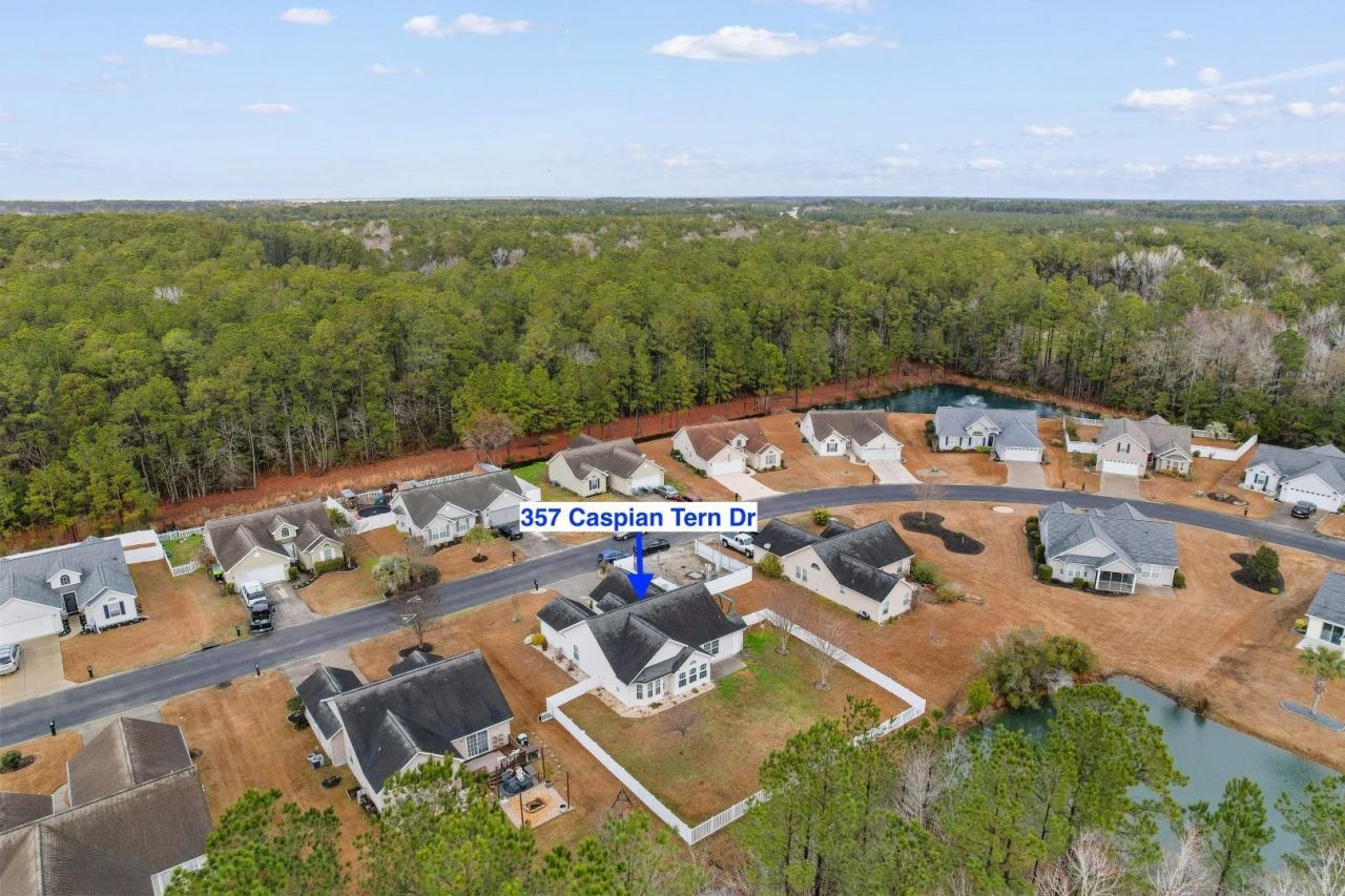 357 Caspian Tern Dr. Photo 33