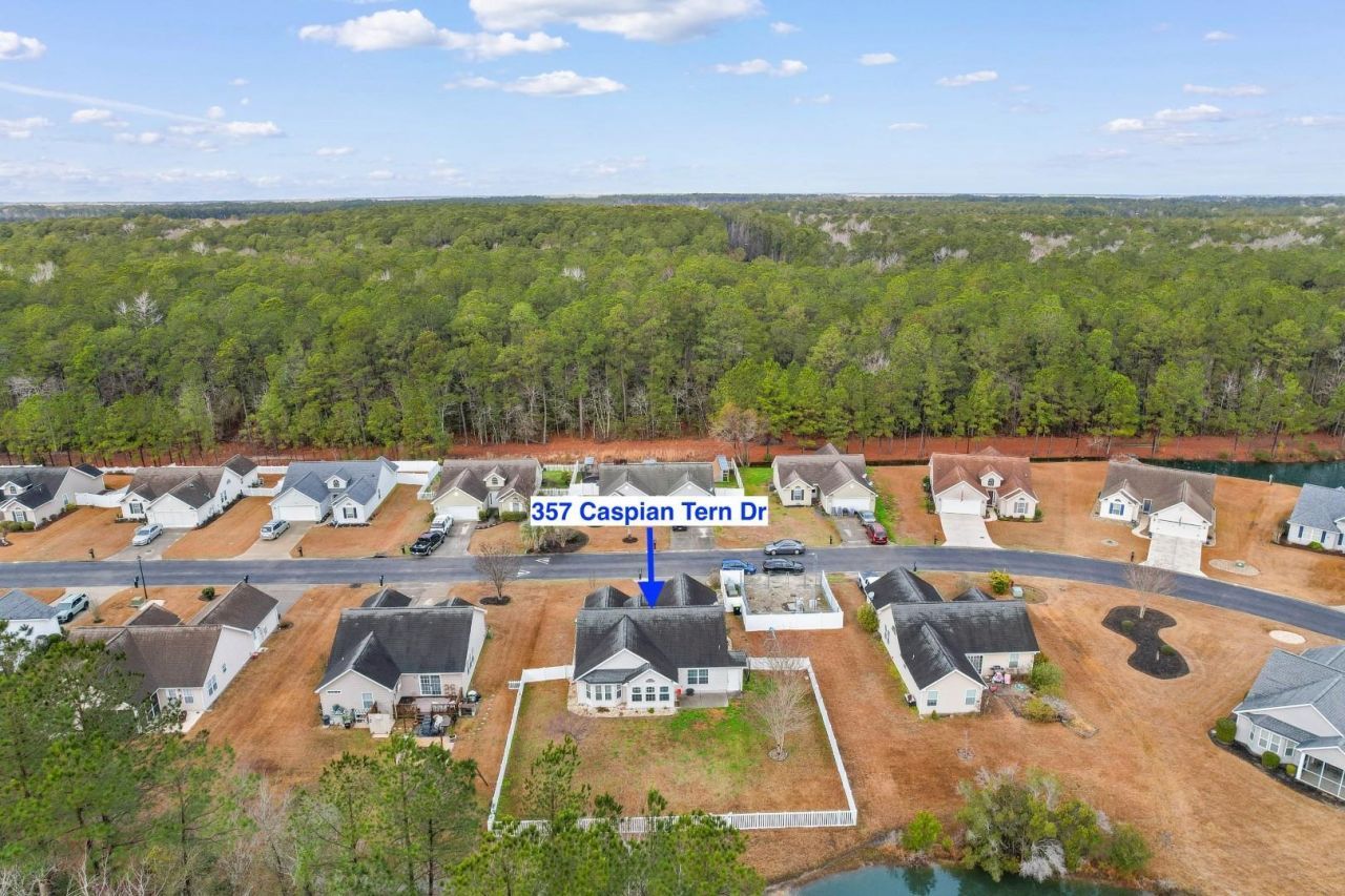 357 Caspian Tern Dr. Photo 34