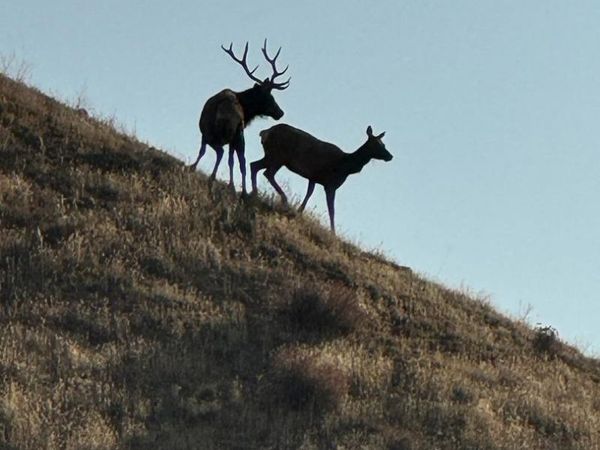 19825 New Idria Road, Paicines, CA 95043