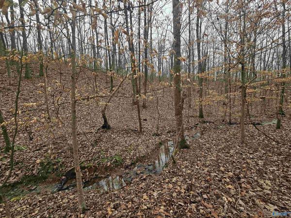 013 Toney Drive, Attalla, AL 36950