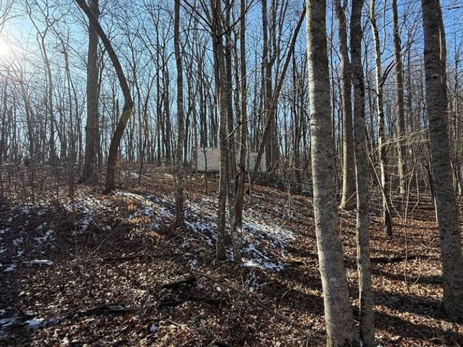 Property Image 11