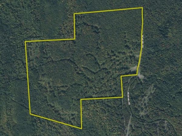 1070 Bear Hill Road, Maidstone, VT 05905