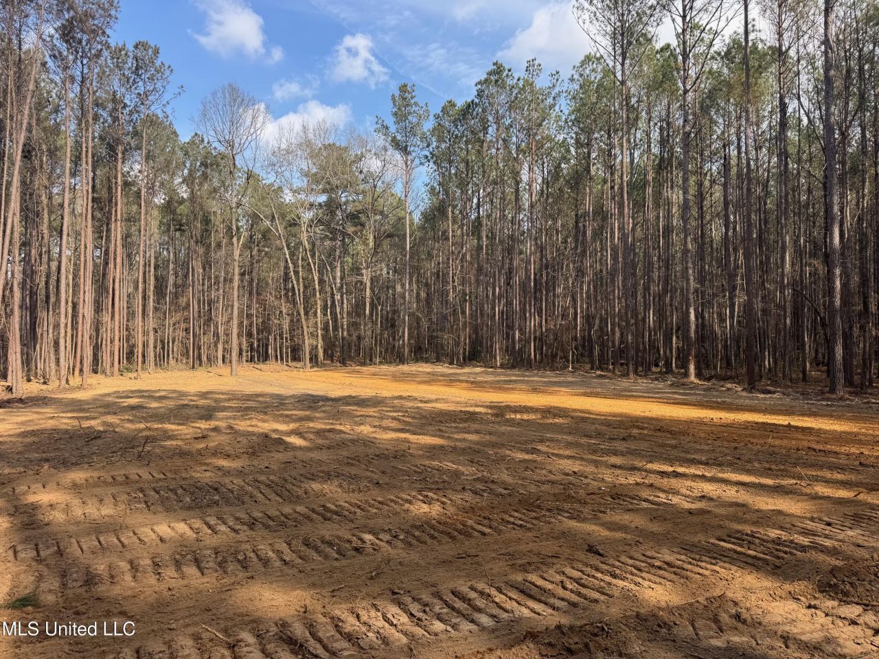 Robinson Road, Canton, MS 39046 Main Photo