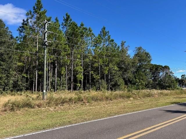 Tbd Us Hwy 19 (n Young Blvd), Chiefland, FL 32626 Photo