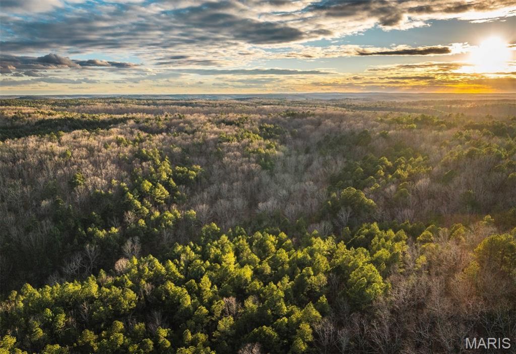 62ac Slaughter Road, Licking, MO 65542 Main Photo