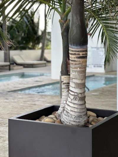 1040 Biscayne Boulevard, Unit 3003, Miami, FL 33132 Photo