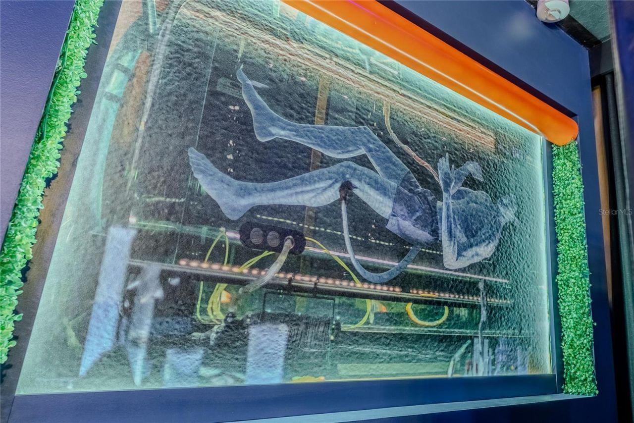 2126 Lelani Circle, Davenport, FL 33897 Photo