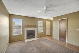 169 Pine Shadow Drive photo 4