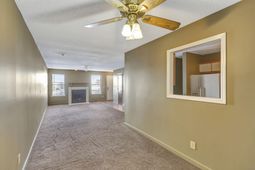 169 Pine Shadow Drive photo 4