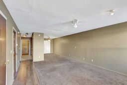 169 Pine Shadow Drive photo 4