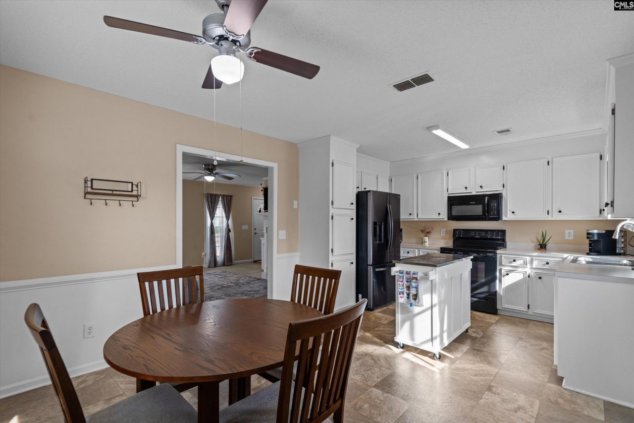 221 Colony Lakes Drive Photo 10