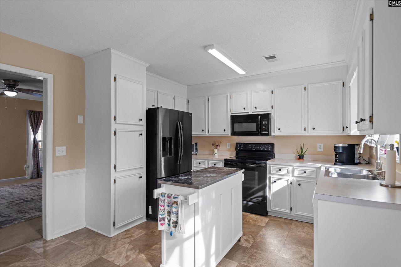 221 Colony Lakes Drive Photo 13