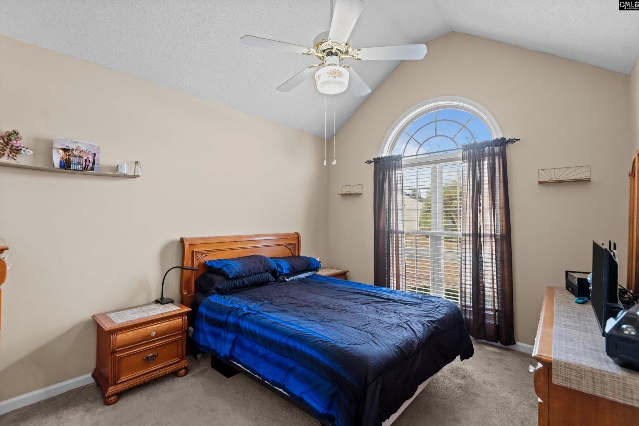 221 Colony Lakes Drive Photo 14