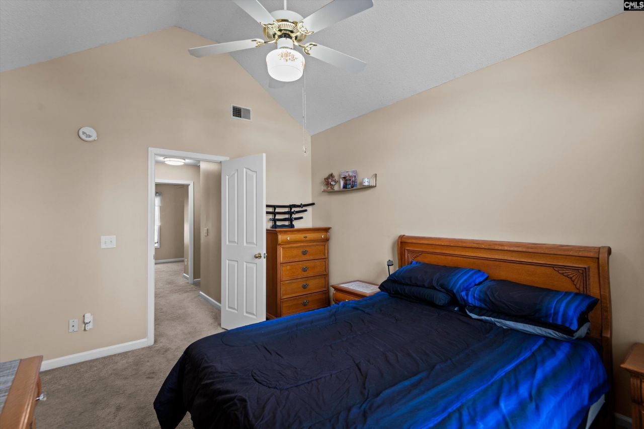 221 Colony Lakes Drive Photo 15