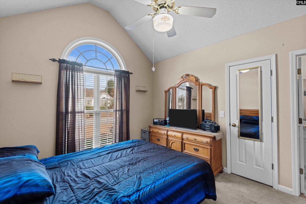 221 Colony Lakes Drive Photo 16