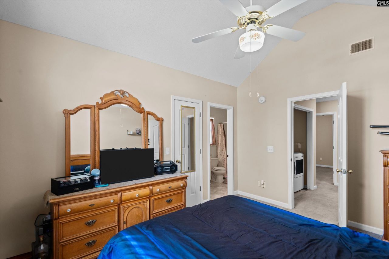 221 Colony Lakes Drive Photo 17