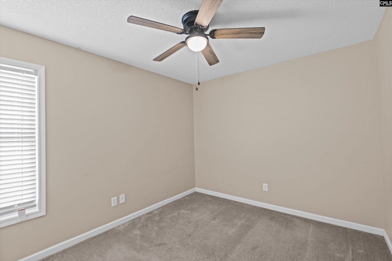 221 Colony Lakes Drive Photo 19