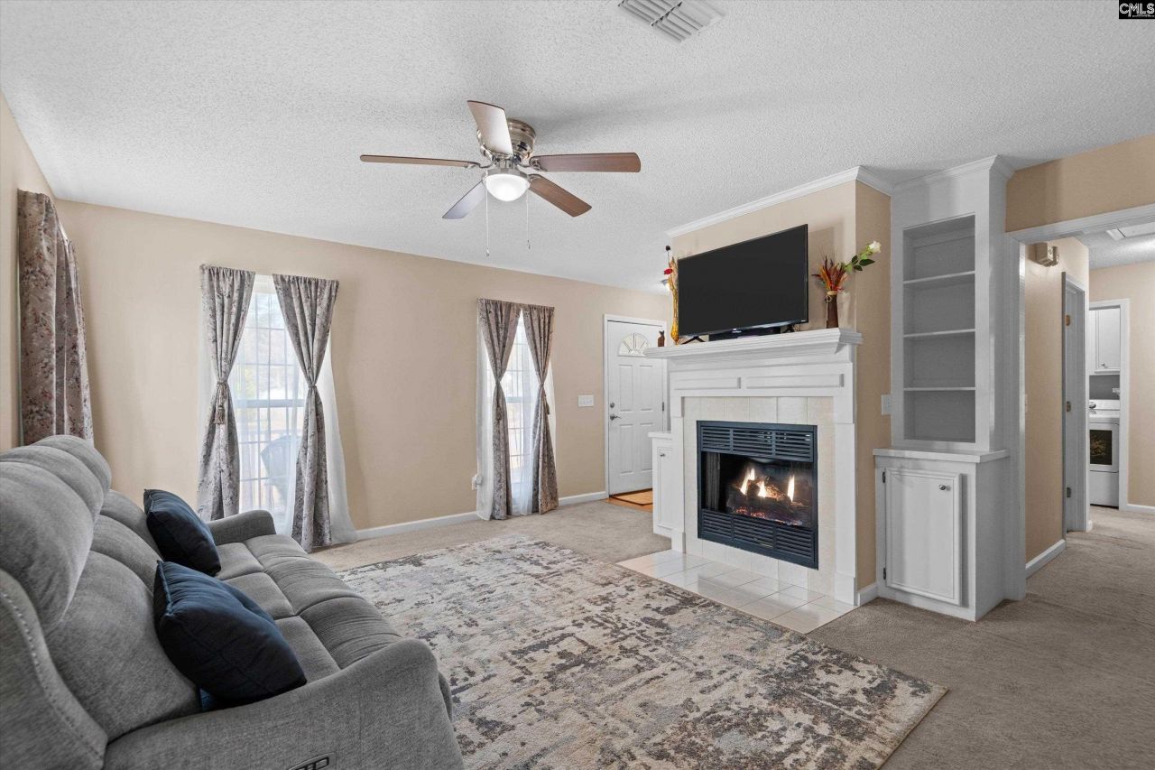 221 Colony Lakes Drive Photo 5