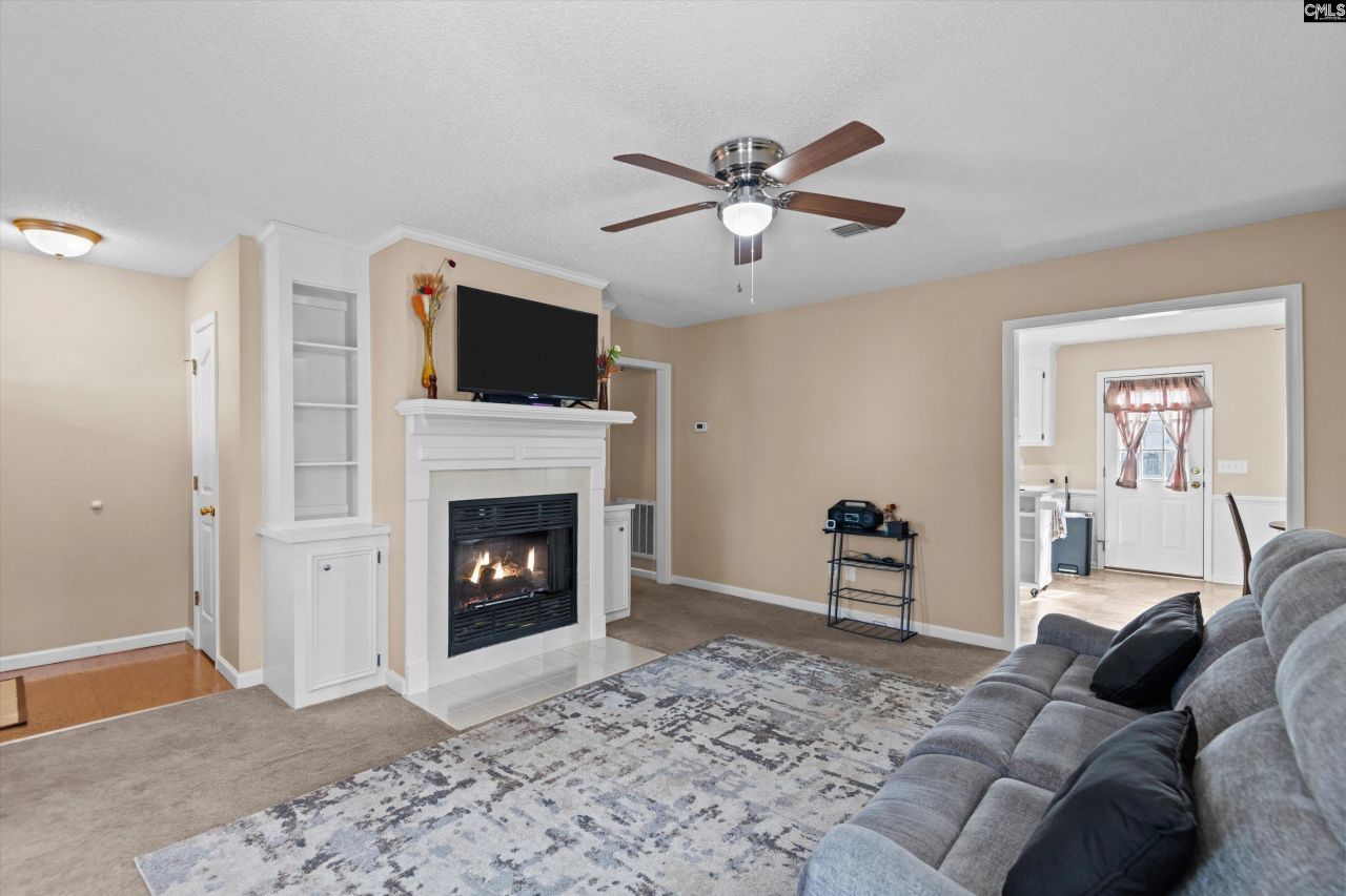 221 Colony Lakes Drive Photo 6